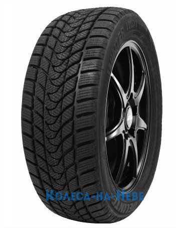 Delinte Winter WD1 175/70 R14 88T  